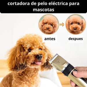 KIT DE CORTA PELO PARA MASCOTAS